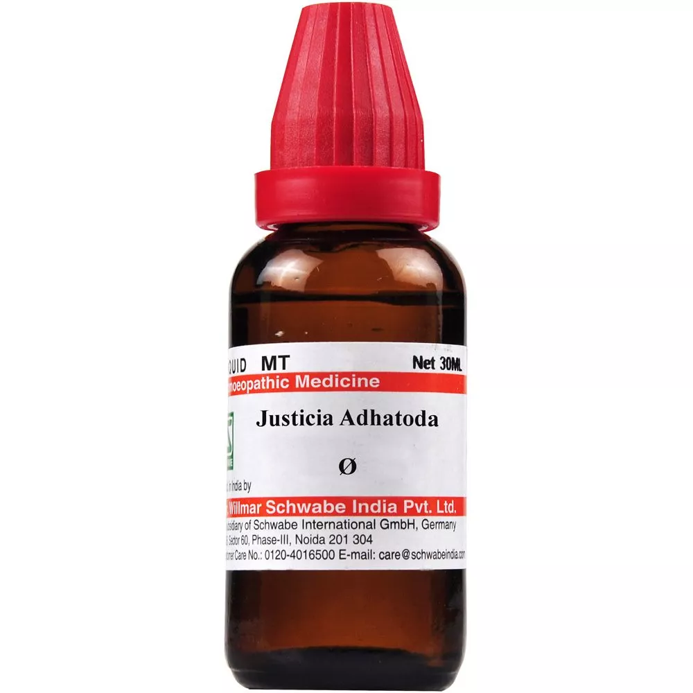 Justicia Adhatoda Q